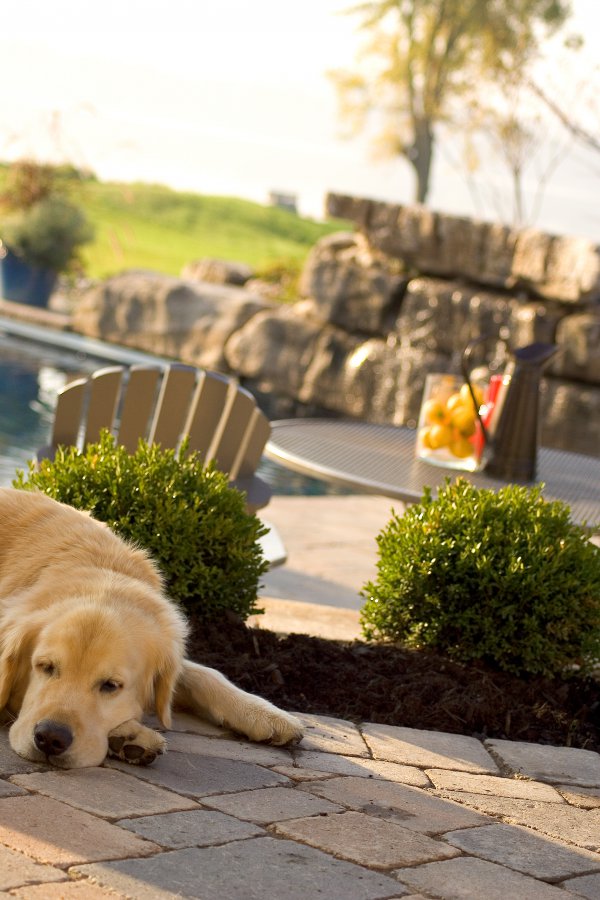 Unilock Pool Deck featuring BrusselsBlock paver